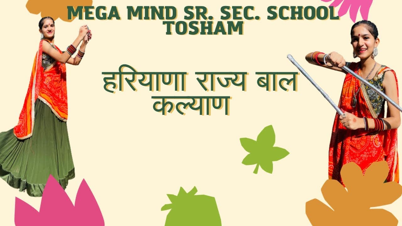 Cultural programme at school